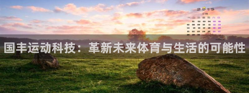 征途国际平台注册要钱吗安全吗：国丰运动科技：革新未来
