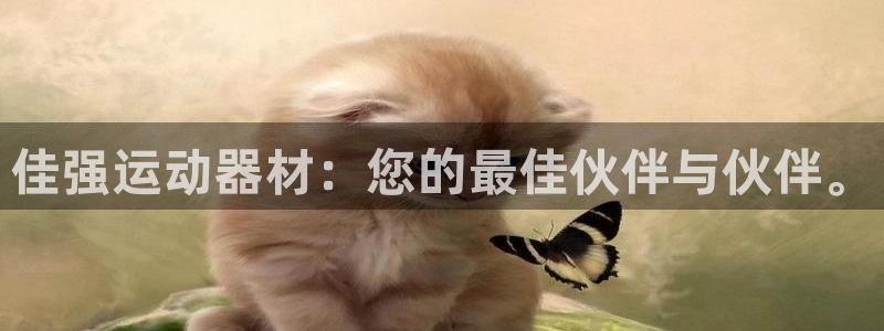 征途国际官网：佳强运动器材：您的最佳伙伴与伙伴。
