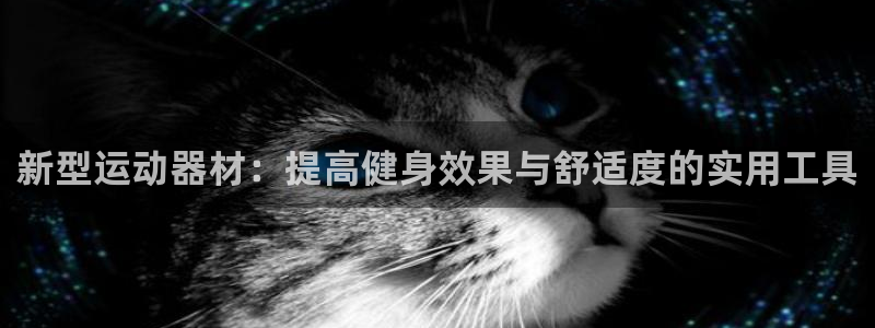 征途国际平台APP：新型运动器材：提高健身效果与舒适