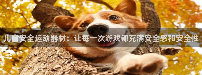 征途国际招商电话是多少号码：儿童安全运动器材：让每一次游戏都