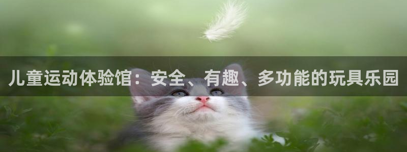 征途国际娱乐首页网站大全：儿童运动体验馆：安全、有趣