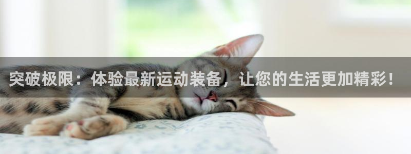 征途国际五金厂：突破极限：体验最新运动装备，让您的生
