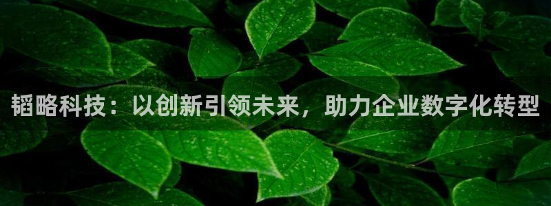 征途国际娱乐平台