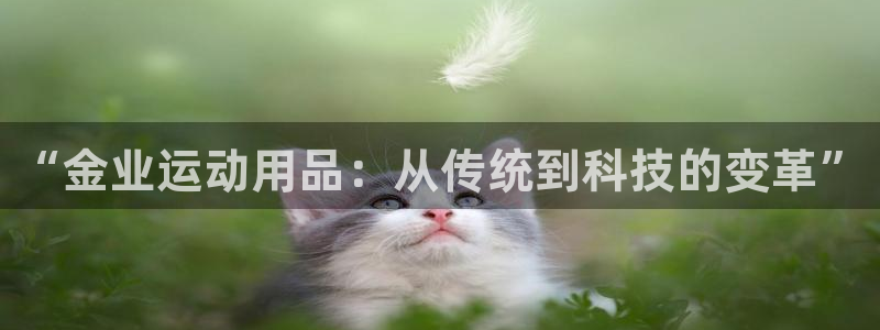 征途国际招商电话是多少号码：“金业运动用品：从传统到科技的变