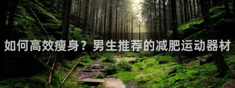 征途国际集团简介：如何高效瘦身？男生推荐的减肥运动器材