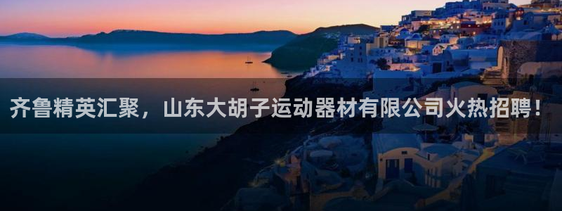 征途国际娱乐平台：齐鲁精英汇聚，山东大胡子运动器材有限公司火