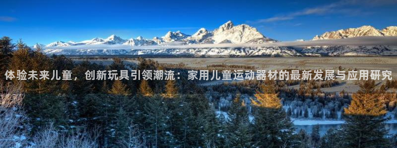 征途国际开户：体验未来儿童，创新玩具引领潮流：家用儿童运动器