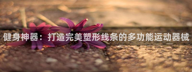 征途国际平台APP