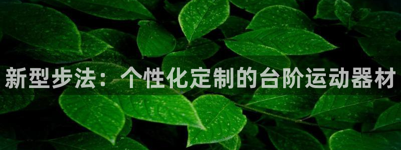 征途国际集团官网：新型步法：个性化定制的台阶运动器材